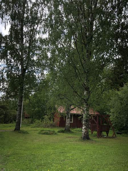 8h  Sysmä - valokuva 2