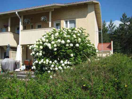 5h +K+ saunat+2WC+ AT varastoineen (40neliö)  Oulu