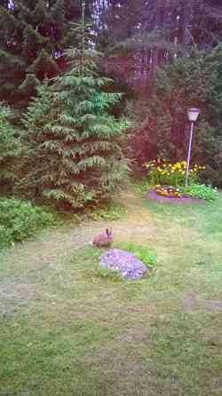 5h +K+ saunat+2WC+ AT varastoineen (40neliö)  Oulu