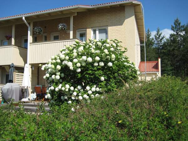 5h +K+ saunat+2WC+ AT varastoineen (40neliö)  Oulu - photo 1