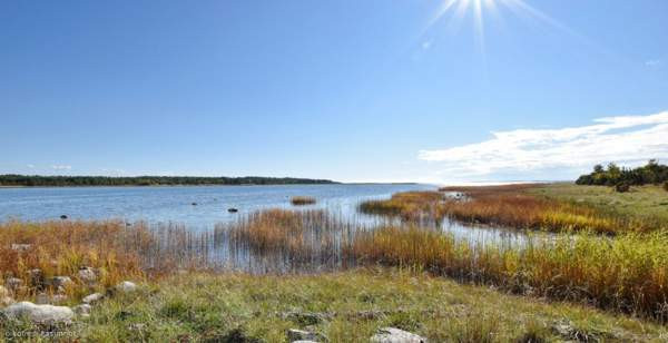 2h, keittiö, psh/wc, sauna  Al Muharraq - valokuva 4