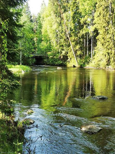 1  Saarijärvi - valokuva 1