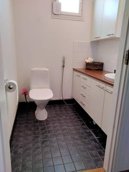 4h + k + s  Kaustinen - photo 4