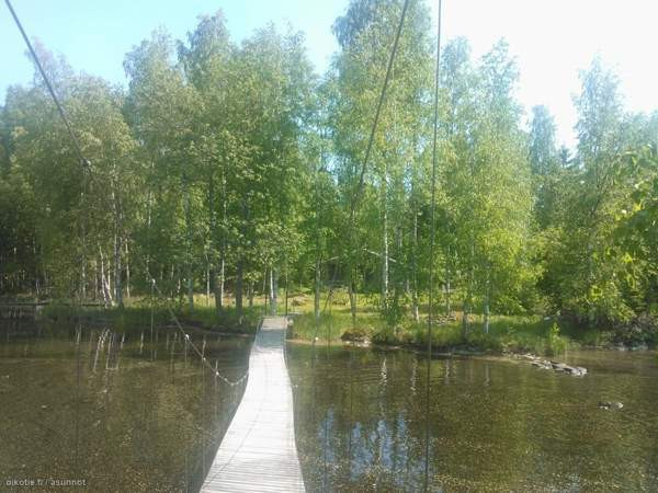 Olohuone, keittonurkaus, nukkumaparvi. Aitassa (pi  Tohmajärvi – foto 3