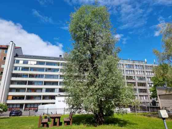 2h + avok + parveke  Helsinki