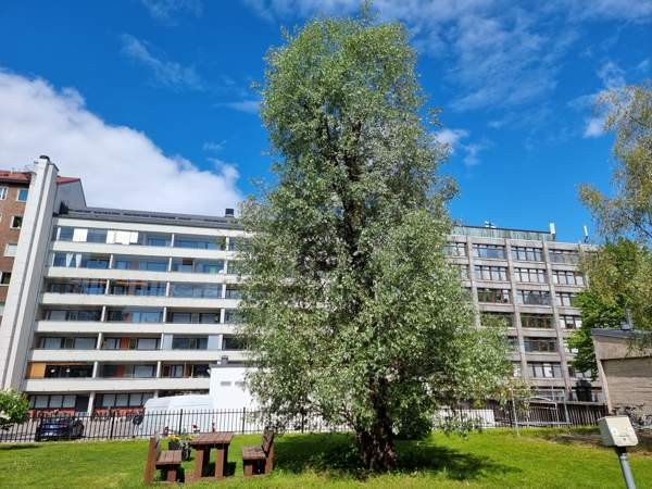 2h + avok + parveke  Helsinki - valokuva 2