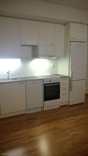 1h + s + p  Оулу - изображение 3