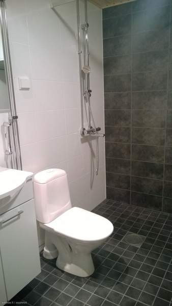 1h + s + p  Оулу - изображение 4