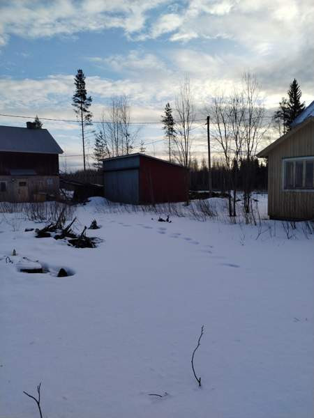 3h  Parkano - изображение 2