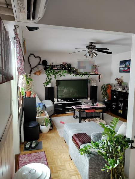 3h + s  Savitaipale – foto 5