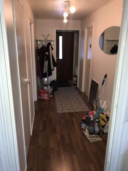 2h+s  Хамина - изображение 3