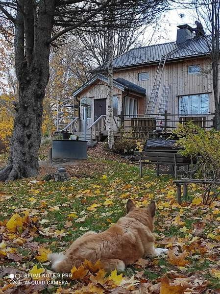 4h+k+suihku+2wc+sauna  Kristiinankaupunki - valokuva 6