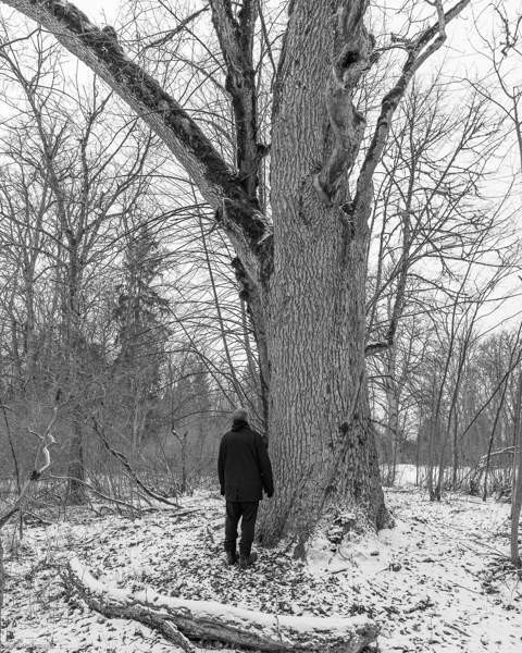 20h  Таллин - изображение 1