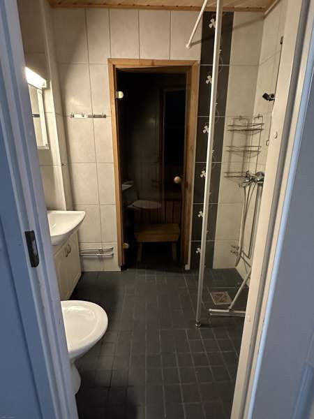 2h + s + p  Savonlinna – foto 4