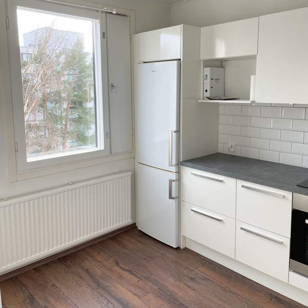 1h + p  Espoo - valokuva 3