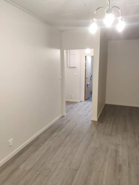 1h, kk, ph  Turtkul - valokuva 5