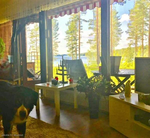 2h + s  Joutsa - изображение 3