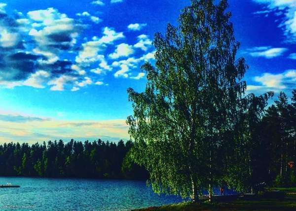 2h + s  Joutsa - изображение 7