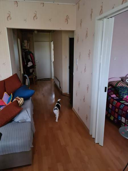 3h + s  Loimaa - изображение 8