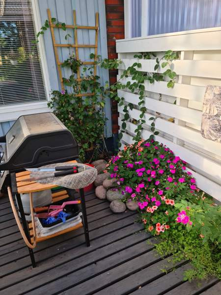 3h + s  Loimaa - изображение 3