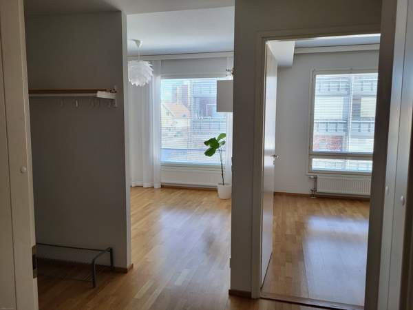 2h + k + s  Турткуль - изображение 2