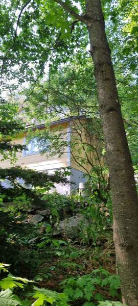 4h  Helsinki - valokuva 3