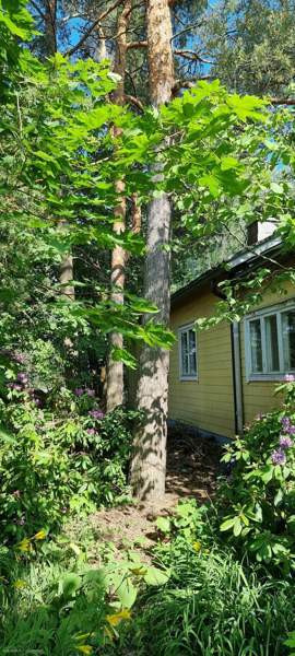 4h  Helsinki - valokuva 2