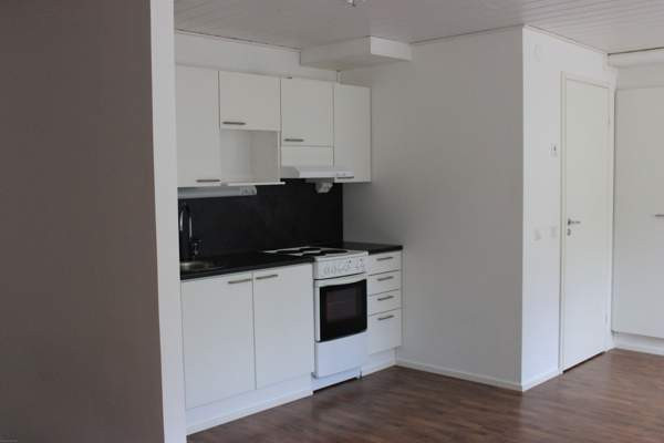 1h  Yloejaervi – foto 6