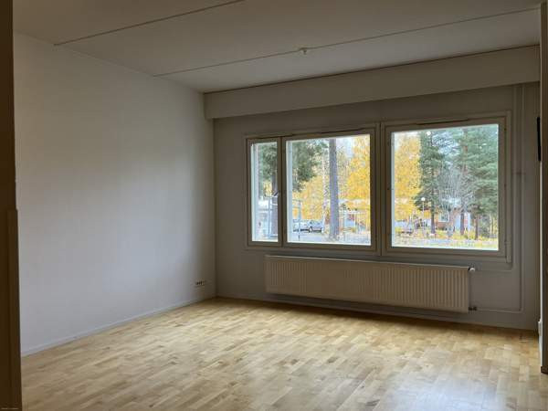 1h + avok + s  Luga - valokuva 3