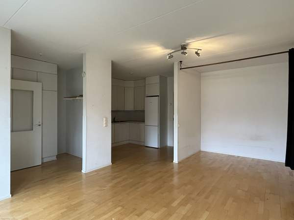 1h + avok + s  Luga - valokuva 1