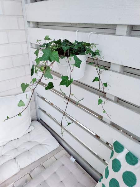 2h + avok + s  Orimattila - изображение 8