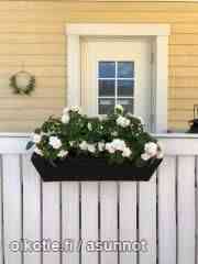 5h + avok + s  Glebychevo