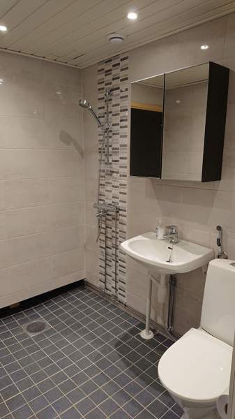 1h + ak + s + kh  Ювяскюля - изображение 3