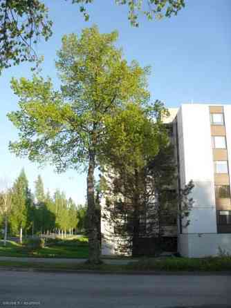 3h + avok + p  Rautjärvi