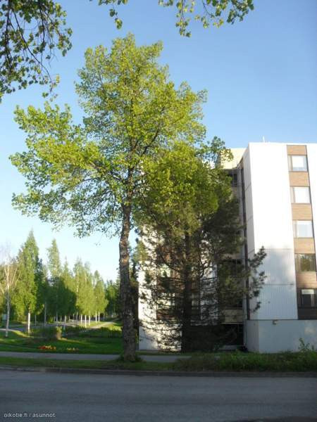 3h + avok + p  Rautjärvi – foto 1