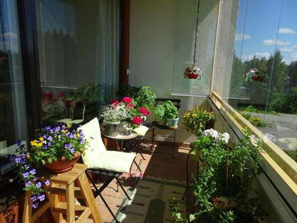 3h + avok + p  Rautjärvi – foto 7