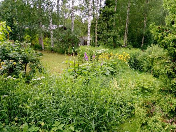 4h + k + s +kph + wc + vh + at +var  Joroinen – foto 3