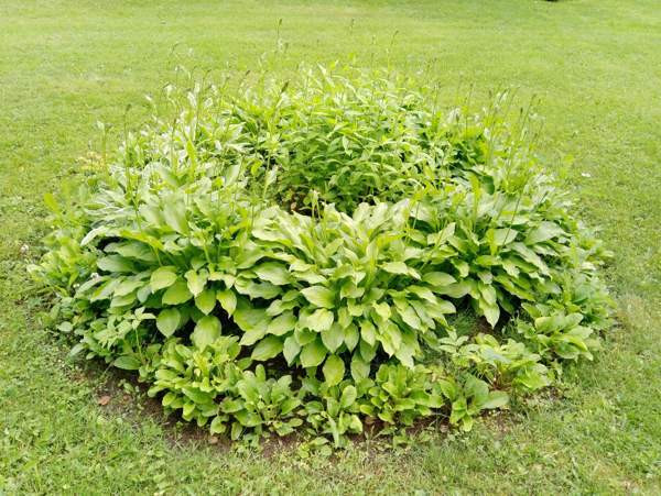 4h + k + s +kph + wc + vh + at +var  Joroinen – foto 5