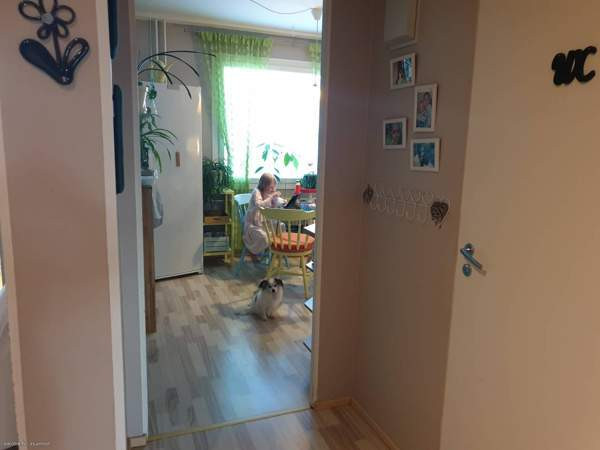 3h + k + p  Kajaani – foto 6