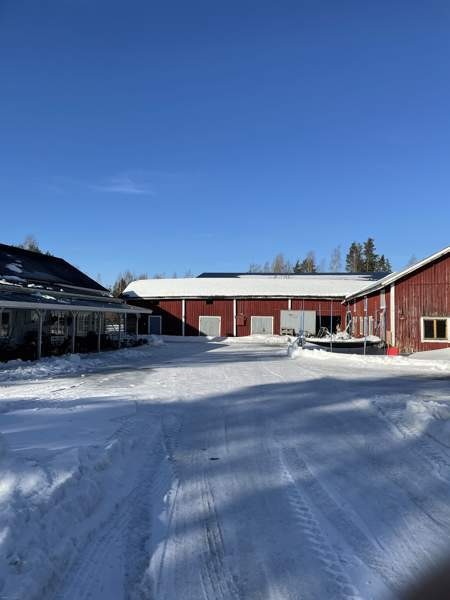 5h + k + s  Kurikka - изображение 5