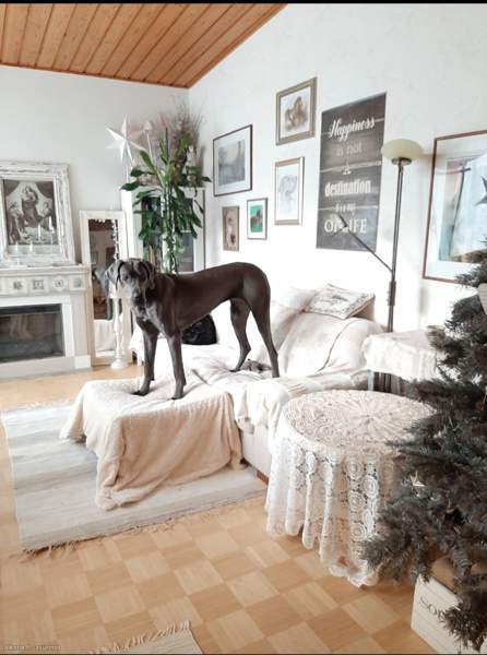 4h + k + s  Imatra – foto 8