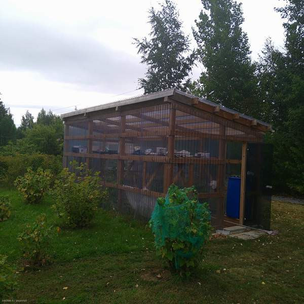 3h + k + kph + s + et  Лаппенранта - изображение 8