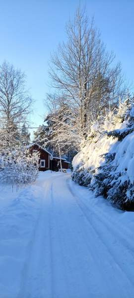 3h + k+kph+kuisti+h+h  Раума - изображение 3