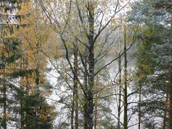 4h + avok + s + p  Siilinjaervi