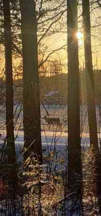 10h + k + s + muita tiloja  Лодейное Поле