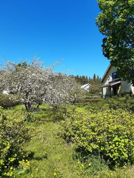 5h + k + s  Glebychevo – foto 6