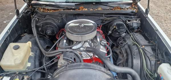 Chevrolet El Camino Muurla - photo 6