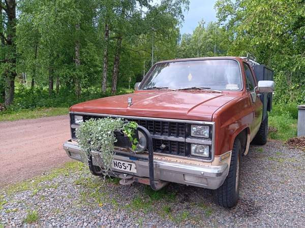 Chevrolet C20 Kotka - photo 8