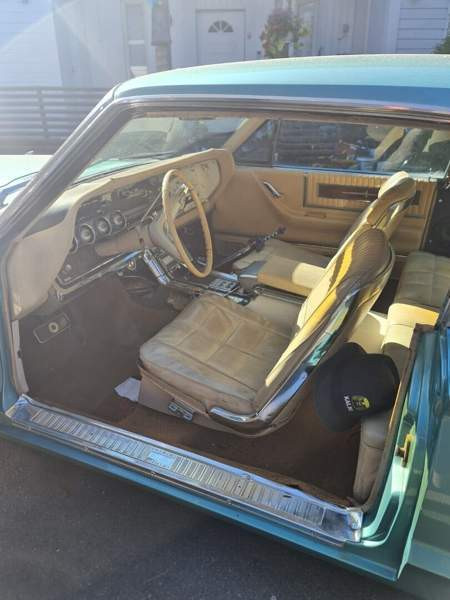 Ford Thunderbird Siikajoki - valokuva 8