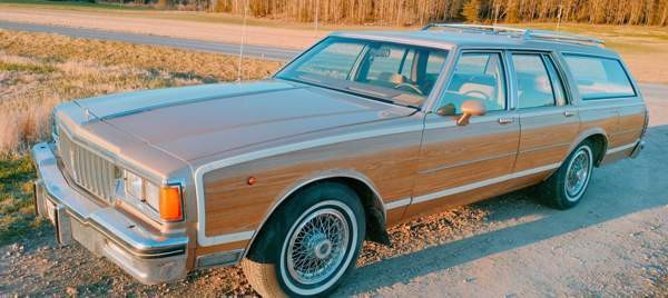 Pontiac Parisienne Sauvo - изображение 1